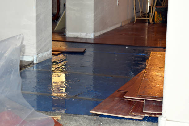 Professional Basement Flood Cleanup technician working in Reeseville, WI